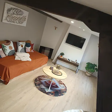 A1 Champagne - 200 M2 14 Personnes 2 Toilets 4 Showers - Hyper Centre - En Champagne Holiday home *