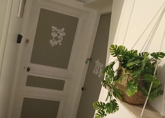 A1 Champagne - 200 M2 14 Personnes 2 Toilets 4 Showers - Hyper Centre - En Champagne Châlons-en-Champagne